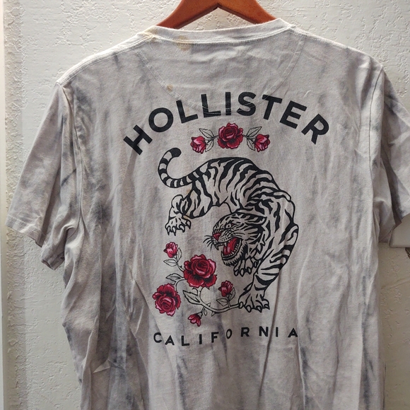 Hollister Other - Hollister T Shirt young Men’s Size Large Short Sleeve